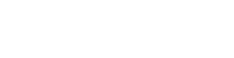 A Company by Toro Enterprises LLC