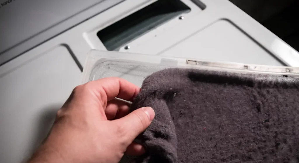 Dryer repair lint filter cleaning